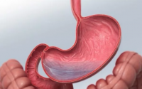 几丁聚糖(甲壳素)真的可以修复胃肠黏膜吗多久才能看到效果?