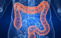小分子肽对肠胃效果怎么样，能治疗肠炎吗？