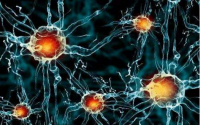 干细胞疗法在治疗神经损伤中的应用