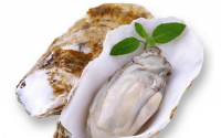 什么是牡蛎肽？长期喝牡蛎肽有哪些好处？