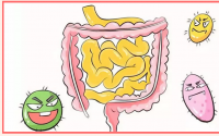 肠胃怎么调理？消化不好怎么办？沙棘对肠胃的改善作用效果与原理