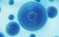 干细胞和免疫细胞的区别是什么，储存哪一个最好？