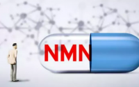 NMN能改善身体的哪些方面，NMN适合什么人服用