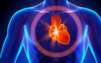 心肌梗死为什么越来越年轻化？干细胞可以预防治疗心肌梗死吗？