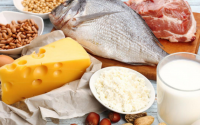 哪些食物中的蛋白质更优质？海参、鲍鱼没有上榜