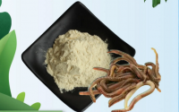 地龙蛋白纳豆粉替代产品，地龙蛋白纳豆粉联合使用的效果