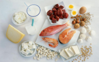 比牛奶蛋白质还要高30倍的食物是哪些吗？