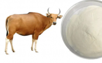 牛骨胶原蛋白肽对关节好吗？牛软骨肽与骨质疏松