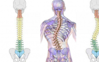 脊柱人体的第二条生命线！脊柱病变与对应疾病