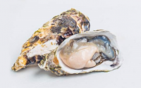 牡蛎肽提高男人性功用效果怎么样,哪个牌子的效果好?