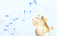 人参皂苷Rh2与人参皂苷Rg3有什么不同?