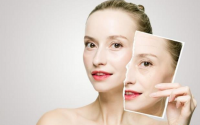 皮肤的美容师——肽，小分子肽对延缓衰老和减肥的作用