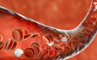 地龙蛋白肽与血液循环和溶解血栓
