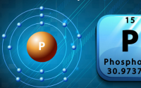 磷在身体里有什么作用，磷不足对身体有哪些危害