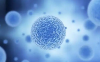 干细胞可以用于干预哪些疾病？干细胞与慢疾病