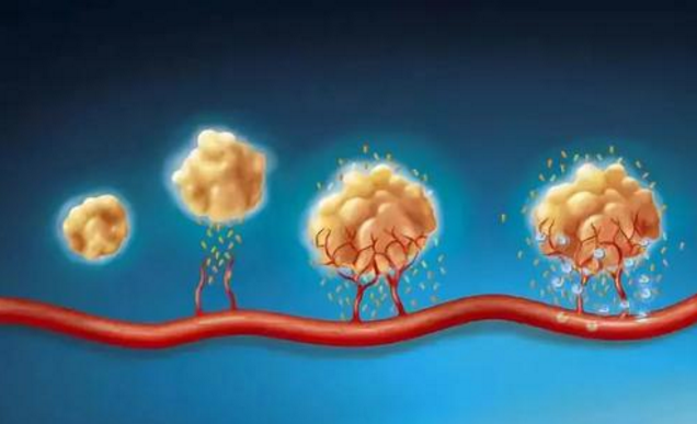 肽与细胞营养