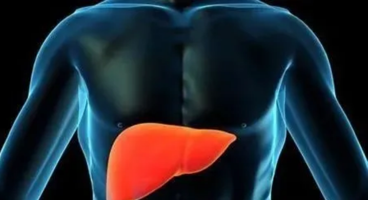 干细胞能再生肝脏吗.png