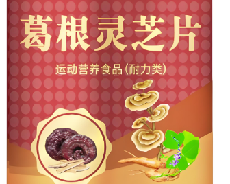 葛根灵芝片.png