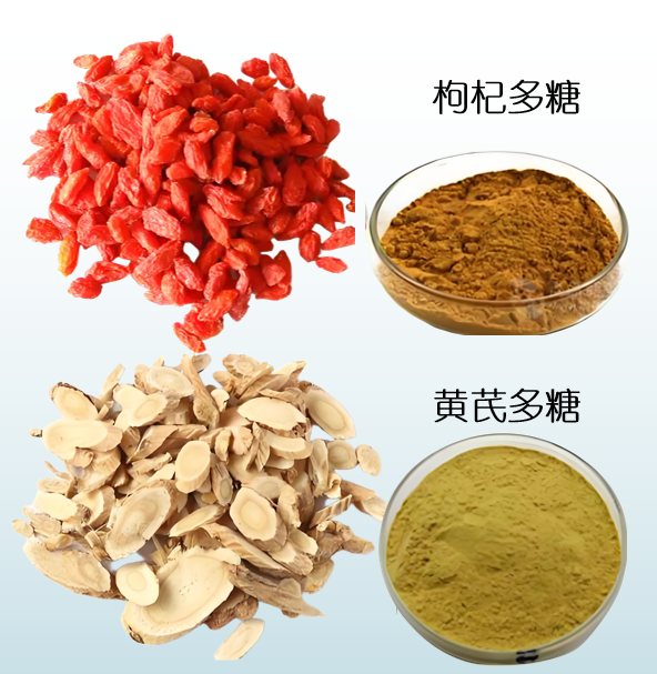 枸杞多糖和黄芪多糖.png 枸杞多糖和黄芪多糖.png