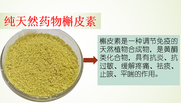 槲皮素.png 槲皮素.png