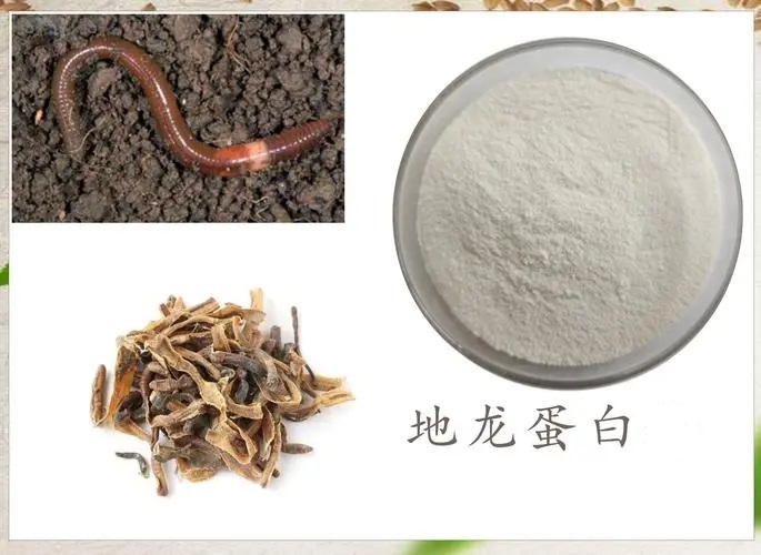 地龙蛋白作用.jpg 地龙蛋白作用.jpg