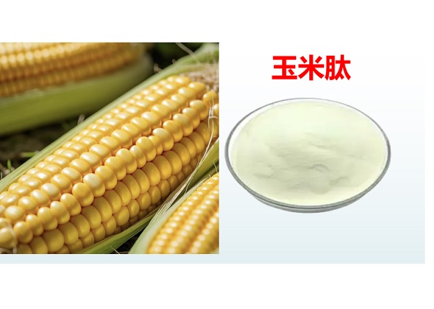 玉米肽.jpg